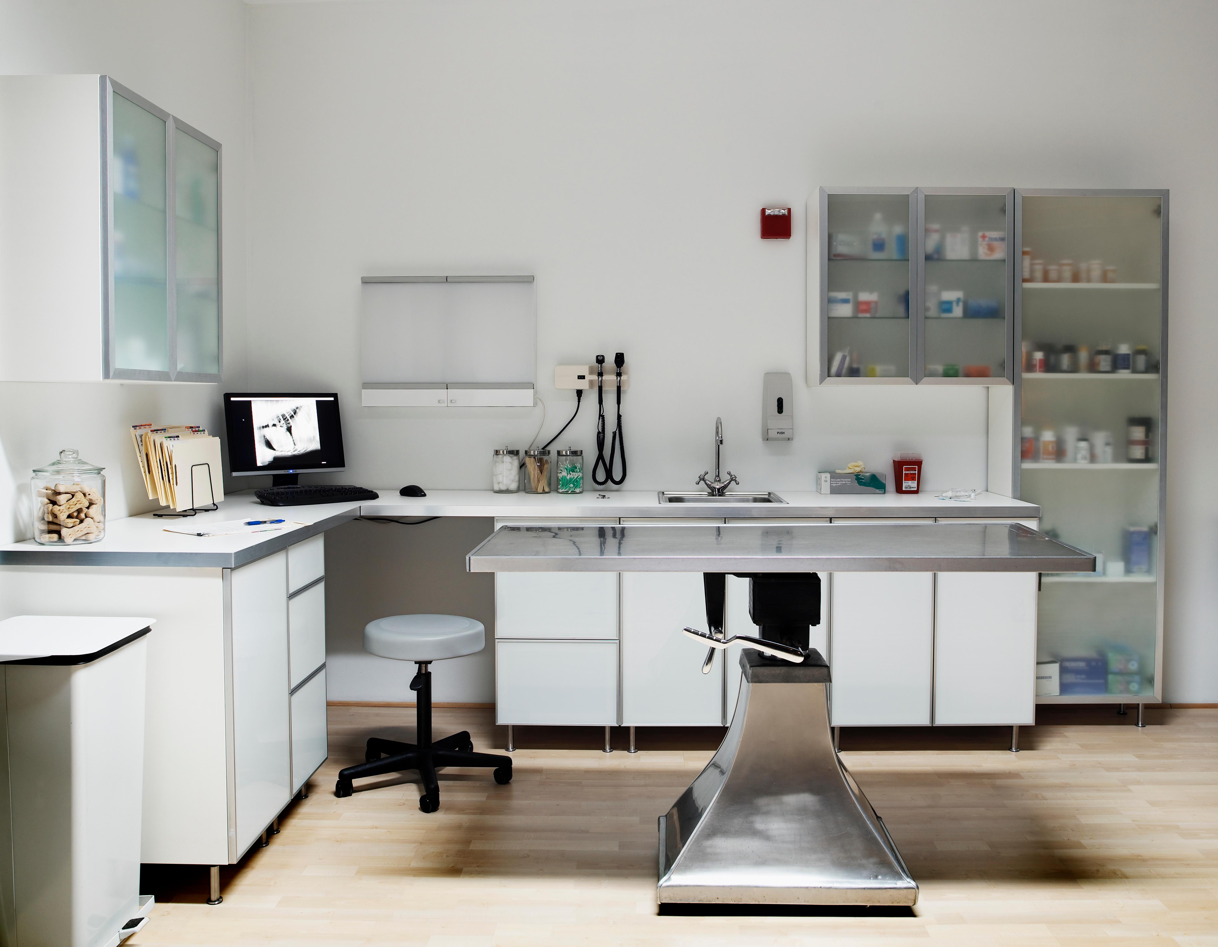 Veterinarian examination room, digital xray on monitor screen