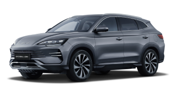 BYD-DMok.png